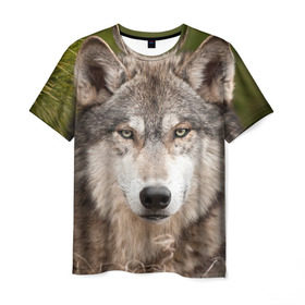 Мужская футболка 3D с принтом Волк в Екатеринбурге, 100% полиэфир | прямой крой, круглый вырез горловины, длина до линии бедер | Тематика изображения на принте: animal | eyes | forest | predator | wild | wolf | взгляд | волк | дикий | животное | зверь | лес | хищник