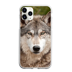 Чехол для iPhone 11 Pro Max матовый с принтом Волк в Екатеринбурге, Силикон |  | Тематика изображения на принте: animal | eyes | forest | predator | wild | wolf | взгляд | волк | дикий | животное | зверь | лес | хищник