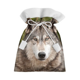 Подарочный 3D мешок с принтом Волк в Екатеринбурге, 100% полиэстер | Размер: 29*39 см | Тематика изображения на принте: animal | eyes | forest | predator | wild | wolf | взгляд | волк | дикий | животное | зверь | лес | хищник