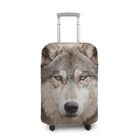 Чехол для чемодана 3D с принтом Волк в Екатеринбурге, 86% полиэфир, 14% спандекс | двустороннее нанесение принта, прорези для ручек и колес | animal | eyes | forest | predator | wild | wolf | взгляд | волк | дикий | животное | зверь | лес | хищник
