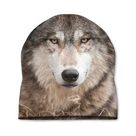 Шапка 3D с принтом Волк в Екатеринбурге, 100% полиэстер | универсальный размер, печать по всей поверхности изделия | animal | eyes | forest | predator | wild | wolf | взгляд | волк | дикий | животное | зверь | лес | хищник