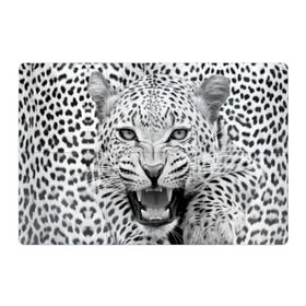 Магнитный плакат 3Х2 с принтом Леопард в Екатеринбурге, Полимерный материал с магнитным слоем | 6 деталей размером 9*9 см | animal | eyes | jaws | leopard | malicious | predator | spotted | teeth | wild | взгляд | дикий | животное | злой | клыки | леопард | оскал | пасть | пятнистый | хищник