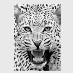 Скетчбук с принтом Леопард в Екатеринбурге, 100% бумага
 | 48 листов, плотность листов — 100 г/м2, плотность картонной обложки — 250 г/м2. Листы скреплены сверху удобной пружинной спиралью | animal | eyes | jaws | leopard | malicious | predator | spotted | teeth | wild | взгляд | дикий | животное | злой | клыки | леопард | оскал | пасть | пятнистый | хищник