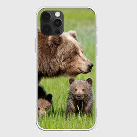 Чехол для iPhone 12 Pro с принтом Медведи в Екатеринбурге, силикон | область печати: задняя сторона чехла, без боковых панелей | animals | bears | children | family | green | meadow | mother | predators | дети | животные | зеленая | мама | медведи | поляна | семья | хищники