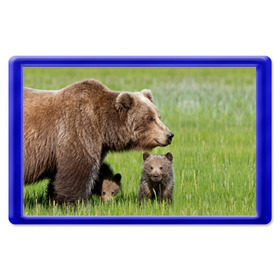Магнит 45*70 с принтом Медведи в Екатеринбурге, Пластик | Размер: 78*52 мм; Размер печати: 70*45 | animals | bears | children | family | green | meadow | mother | predators | дети | животные | зеленая | мама | медведи | поляна | семья | хищники