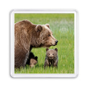 Магнит 55*55 с принтом Медведи в Екатеринбурге, Пластик | Размер: 65*65 мм; Размер печати: 55*55 мм | animals | bears | children | family | green | meadow | mother | predators | дети | животные | зеленая | мама | медведи | поляна | семья | хищники