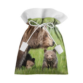 Подарочный 3D мешок с принтом Медведи в Екатеринбурге, 100% полиэстер | Размер: 29*39 см | Тематика изображения на принте: animals | bears | children | family | green | meadow | mother | predators | дети | животные | зеленая | мама | медведи | поляна | семья | хищники