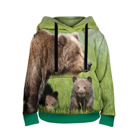 Детская толстовка 3D с принтом Медведи в Екатеринбурге, 100% полиэстер | двухслойный капюшон со шнурком для регулировки, мягкие манжеты на рукавах и по низу толстовки, спереди карман-кенгуру с мягким внутренним слоем | animals | bears | children | family | green | meadow | mother | predators | дети | животные | зеленая | мама | медведи | поляна | семья | хищники