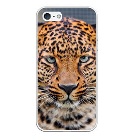 Чехол для iPhone 5/5S матовый с принтом Леопард в Екатеринбурге, Силикон | Область печати: задняя сторона чехла, без боковых панелей | animal | leopard | look | predator | spotted | wild | взгляд | дикий | животное | леопард | пятнистый | хищник