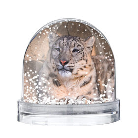 Снежный шар с принтом Леопард в Екатеринбурге, Пластик | Изображение внутри шара печатается на глянцевой фотобумаге с двух сторон | animal | leopard | look | predator | spotted | wild | взгляд | дикий | животное | леопард | пятнистый | хищник