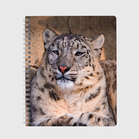 Тетрадь с принтом Леопард в Екатеринбурге, 100% бумага | 48 листов, плотность листов — 60 г/м2, плотность картонной обложки — 250 г/м2. Листы скреплены сбоку удобной пружинной спиралью. Уголки страниц и обложки скругленные. Цвет линий — светло-серый
 | animal | leopard | look | predator | spotted | wild | взгляд | дикий | животное | леопард | пятнистый | хищник