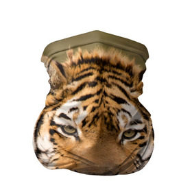 Бандана-труба 3D с принтом Тигр в Екатеринбурге, 100% полиэстер, ткань с особыми свойствами — Activecool | плотность 150‒180 г/м2; хорошо тянется, но сохраняет форму | Тематика изображения на принте: animal | predator | striped | tiger | view | wild | взгляд | дикий | животное | полосатый | тигр | хищник