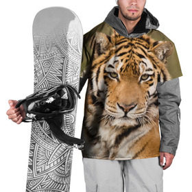 Накидка на куртку 3D с принтом Тигр в Екатеринбурге, 100% полиэстер |  | animal | predator | striped | tiger | view | wild | взгляд | дикий | животное | полосатый | тигр | хищник