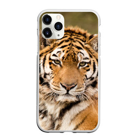 Чехол для iPhone 11 Pro матовый с принтом Тигр в Екатеринбурге, Силикон |  | animal | predator | striped | tiger | view | wild | взгляд | дикий | животное | полосатый | тигр | хищник