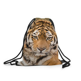 Рюкзак-мешок 3D с принтом Тигр в Екатеринбурге, 100% полиэстер | плотность ткани — 200 г/м2, размер — 35 х 45 см; лямки — толстые шнурки, застежка на шнуровке, без карманов и подкладки | animal | predator | striped | tiger | view | wild | взгляд | дикий | животное | полосатый | тигр | хищник