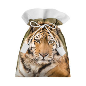 Подарочный 3D мешок с принтом Тигр в Екатеринбурге, 100% полиэстер | Размер: 29*39 см | animal | predator | striped | tiger | view | wild | взгляд | дикий | животное | полосатый | тигр | хищник