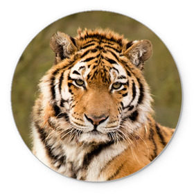 Коврик круглый с принтом Тигр в Екатеринбурге, резина и полиэстер | круглая форма, изображение наносится на всю лицевую часть | animal | predator | striped | tiger | view | wild | взгляд | дикий | животное | полосатый | тигр | хищник