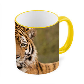 Кружка 3D с принтом Тигр в Екатеринбурге, керамика | ёмкость 330 мл | animal | predator | striped | tiger | view | wild | взгляд | дикий | животное | полосатый | тигр | хищник