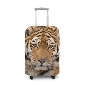 Чехол для чемодана 3D с принтом Тигр в Екатеринбурге, 86% полиэфир, 14% спандекс | двустороннее нанесение принта, прорези для ручек и колес | animal | predator | striped | tiger | view | wild | взгляд | дикий | животное | полосатый | тигр | хищник