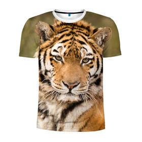 Мужская футболка 3D спортивная с принтом Тигр в Екатеринбурге, 100% полиэстер с улучшенными характеристиками | приталенный силуэт, круглая горловина, широкие плечи, сужается к линии бедра | Тематика изображения на принте: animal | predator | striped | tiger | view | wild | взгляд | дикий | животное | полосатый | тигр | хищник
