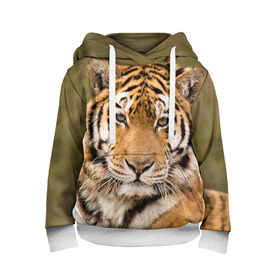 Детская толстовка 3D с принтом Тигр в Екатеринбурге, 100% полиэстер | двухслойный капюшон со шнурком для регулировки, мягкие манжеты на рукавах и по низу толстовки, спереди карман-кенгуру с мягким внутренним слоем | animal | predator | striped | tiger | view | wild | взгляд | дикий | животное | полосатый | тигр | хищник