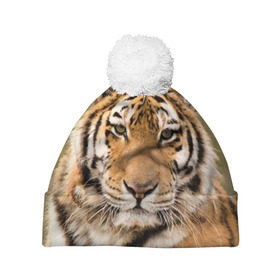 Шапка 3D c помпоном с принтом Тигр в Екатеринбурге, 100% полиэстер | универсальный размер, печать по всей поверхности изделия | animal | predator | striped | tiger | view | wild | взгляд | дикий | животное | полосатый | тигр | хищник