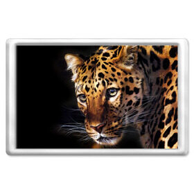 Магнит 45*70 с принтом Леопард в Екатеринбурге, Пластик | Размер: 78*52 мм; Размер печати: 70*45 | Тематика изображения на принте: animal | leopard | look | predator | spotted | wild | взгляд | дикий | животное | леопард | пятнистый | хищник