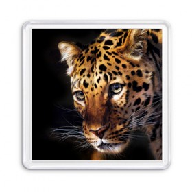 Магнит 55*55 с принтом Леопард в Екатеринбурге, Пластик | Размер: 65*65 мм; Размер печати: 55*55 мм | Тематика изображения на принте: animal | leopard | look | predator | spotted | wild | взгляд | дикий | животное | леопард | пятнистый | хищник