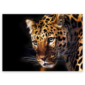 Поздравительная открытка с принтом Леопард в Екатеринбурге, 100% бумага | плотность бумаги 280 г/м2, матовая, на обратной стороне линовка и место для марки
 | animal | leopard | look | predator | spotted | wild | взгляд | дикий | животное | леопард | пятнистый | хищник