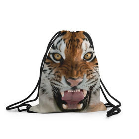 Рюкзак-мешок 3D с принтом Тигр в Екатеринбурге, 100% полиэстер | плотность ткани — 200 г/м2, размер — 35 х 45 см; лямки — толстые шнурки, застежка на шнуровке, без карманов и подкладки | animal | predator | striped | tiger | view | wild | взгляд | дикий | животное | полосатый | тигр | хищник