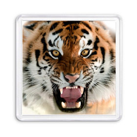 Магнит 55*55 с принтом Тигр в Екатеринбурге, Пластик | Размер: 65*65 мм; Размер печати: 55*55 мм | Тематика изображения на принте: animal | predator | striped | tiger | view | wild | взгляд | дикий | животное | полосатый | тигр | хищник