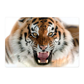 Магнитный плакат 3Х2 с принтом Тигр в Екатеринбурге, Полимерный материал с магнитным слоем | 6 деталей размером 9*9 см | Тематика изображения на принте: animal | predator | striped | tiger | view | wild | взгляд | дикий | животное | полосатый | тигр | хищник