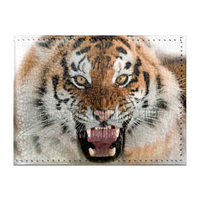 Обложка для студенческого билета с принтом Тигр в Екатеринбурге, натуральная кожа | Размер: 11*8 см; Печать на всей внешней стороне | animal | predator | striped | tiger | view | wild | взгляд | дикий | животное | полосатый | тигр | хищник