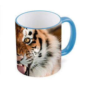 Кружка 3D с принтом Тигр в Екатеринбурге, керамика | ёмкость 330 мл | Тематика изображения на принте: animal | predator | striped | tiger | view | wild | взгляд | дикий | животное | полосатый | тигр | хищник
