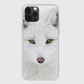 Чехол для iPhone 12 Pro с принтом Полярная лиса в Екатеринбурге, силикон | область печати: задняя сторона чехла, без боковых панелей | animal | polar fox | predator | sly | white | wild | белая | дикая | животное | лиса | полярная | хитрая | хищник