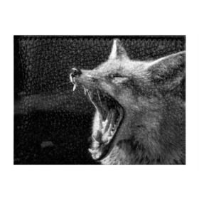 Обложка для студенческого билета с принтом Лиса в Екатеринбурге, натуральная кожа | Размер: 11*8 см; Печать на всей внешней стороне | animal | bw | fox | jaws | predator | sly | teeth | wild | yawn | дикая | животное | зевает | зубы | лиса | пасть | хитрая | хищник | чб