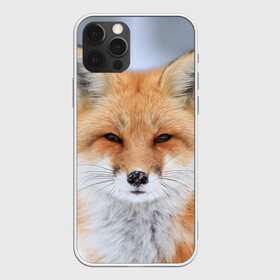 Чехол для iPhone 12 Pro с принтом Лиса в Екатеринбурге, силикон | область печати: задняя сторона чехла, без боковых панелей | animal | fox | look | predator | red | sly | wild | взгляд | дикая | животное | лиса | рыжая | хитрая | хищник