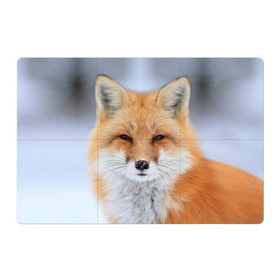 Магнитный плакат 3Х2 с принтом Лиса в Екатеринбурге, Полимерный материал с магнитным слоем | 6 деталей размером 9*9 см | animal | fox | look | predator | red | sly | wild | взгляд | дикая | животное | лиса | рыжая | хитрая | хищник