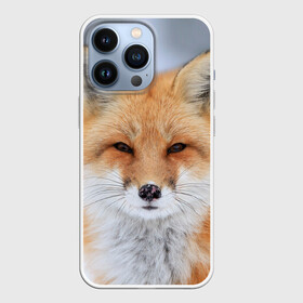 Чехол для iPhone 13 Pro с принтом Лиса в Екатеринбурге,  |  | animal | fox | look | predator | red | sly | wild | взгляд | дикая | животное | лиса | рыжая | хитрая | хищник