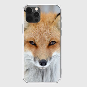 Чехол для iPhone 12 Pro Max с принтом Лиса в Екатеринбурге, Силикон |  | animal | baby | fox | look | predator | red | sly | wild | взгляд | дикая | животное | лиса | малыш | рыжая | хитрая | хищник