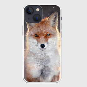 Чехол для iPhone 13 mini с принтом Лиса в Екатеринбурге,  |  | animal | baby | fox | predator | red | sly | snow | view | wild | winter | взгляд | дикая | животное | зима | лиса | малыш | рыжая | снег | хитрая | хищник