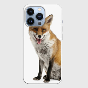 Чехол для iPhone 13 Pro с принтом Лиса в Екатеринбурге,  |  | animal | baby | fox | look | predator | red | sly | wild | взгляд | дикая | животное | лиса | малыш | рыжая | хитрая | хищник