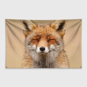 Флаг-баннер с принтом Лиса в Екатеринбурге, 100% полиэстер | размер 67 х 109 см, плотность ткани — 95 г/м2; по краям флага есть четыре люверса для крепления | animal | baby | fox | look | predator | red | sly | wild | взгляд | дикая | животное | лиса | малыш | рыжая | хитрая | хищник