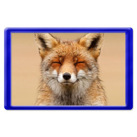 Магнит 45*70 с принтом Лиса в Екатеринбурге, Пластик | Размер: 78*52 мм; Размер печати: 70*45 | animal | baby | fox | look | predator | red | sly | wild | взгляд | дикая | животное | лиса | малыш | рыжая | хитрая | хищник