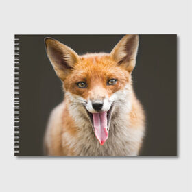Альбом для рисования с принтом Лиса в Екатеринбурге, 100% бумага
 | матовая бумага, плотность 200 мг. | Тематика изображения на принте: animal | fox | look | predator | red | sly | wild | взгляд | дикая | животное | лиса | рыжая | хитрая | хищник