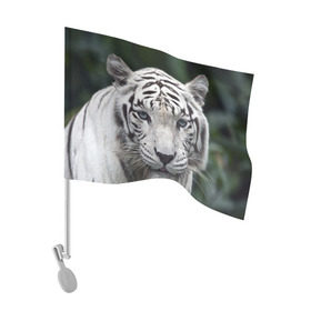 Флаг для автомобиля с принтом Белый тигр в Екатеринбурге, 100% полиэстер | Размер: 30*21 см | animal | jungle | look | predator | tiger | white | wild | белый | взгляд | джунгли | дикий | животное | тигр | хищник