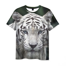 Мужская футболка 3D с принтом Белый тигр в Екатеринбурге, 100% полиэфир | прямой крой, круглый вырез горловины, длина до линии бедер | animal | jungle | look | predator | tiger | white | wild | белый | взгляд | джунгли | дикий | животное | тигр | хищник
