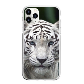 Чехол для iPhone 11 Pro матовый с принтом Белый тигр в Екатеринбурге, Силикон |  | Тематика изображения на принте: animal | jungle | look | predator | tiger | white | wild | белый | взгляд | джунгли | дикий | животное | тигр | хищник