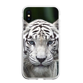 Чехол для iPhone XS Max матовый с принтом Белый тигр в Екатеринбурге, Силикон | Область печати: задняя сторона чехла, без боковых панелей | animal | jungle | look | predator | tiger | white | wild | белый | взгляд | джунгли | дикий | животное | тигр | хищник