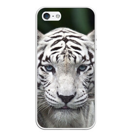 Чехол для iPhone 5/5S матовый с принтом Белый тигр в Екатеринбурге, Силикон | Область печати: задняя сторона чехла, без боковых панелей | animal | jungle | look | predator | tiger | white | wild | белый | взгляд | джунгли | дикий | животное | тигр | хищник